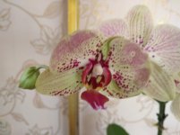 IMG_20220501_181627.jpg