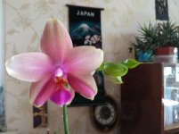 IMG_20220502_171819.jpg