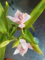 IMG20220426195817.jpg