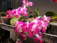 IMG_20220504_204614.jpg