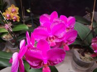 IMG_20211221_180225.jpg