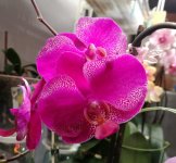 IMG_20220504_212807.jpg