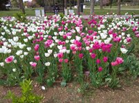 IMG_20220506_102434.jpg