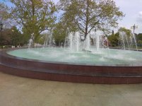 IMG_20220506_102456.jpg