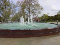 IMG_20220506_102555.jpg