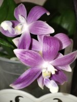 IMG_20220506_212245.jpg