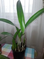 20220507_063153.jpg