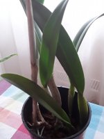 20220507_063321.jpg