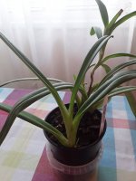 20220507_070101.jpg