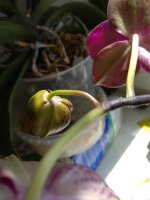 IMG_20220507_121139.jpg