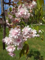IMG_20220507_145443.jpg