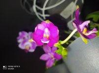 IMG_20220509_011339.jpg