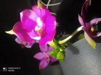 IMG_20220509_011515.jpg