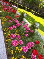 IMG_20220509_160048.jpg