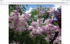 Screenshot_20220510-075557_Firefox.jpg