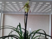 20180826_091531.jpg