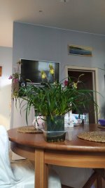 IMG_20220516_073454.jpg
