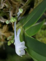 IMG_20220517_183840.jpg