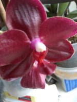 IMG_20220519_175825.jpg