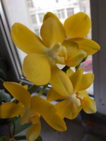 IMG_20220519_180006.jpg