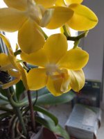 IMG_20220519_180026.jpg