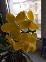 IMG_20220519_180113.jpg