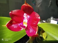 IMG_20220520_094231.jpg