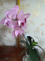 IMG_20220519_180500.jpg