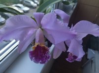IMG_20220520_180647.jpg