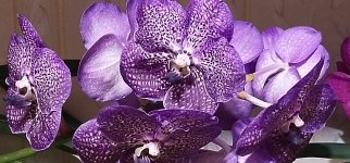 IMG_20220503_233028.jpg