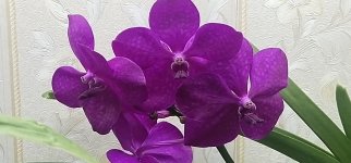 IMG_20220503_171754.jpg