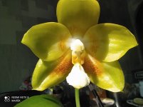 IMG_20220524_101048.jpg
