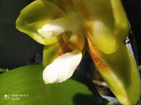 IMG_20220524_101108.jpg