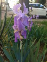 IMG_20220525_163117.jpg