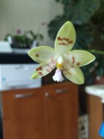 IMG_20220524_094345.jpg