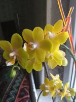 IMG_20220526_103011.jpg