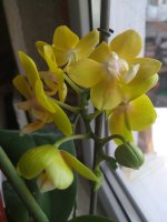 IMG_20220526_103115.jpg