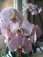IMG_20220526_103749.jpg