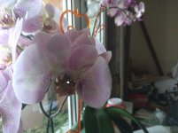 IMG_20220526_103854.jpg