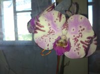 IMG_20220526_103707.jpg
