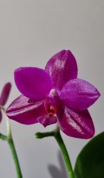 20220527_074146.jpg
