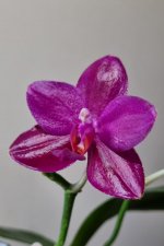 20220527_074159.jpg