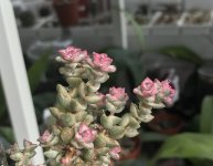 DF6000C1-BC19-44E2-B6FF-95B8B474B029.jpeg