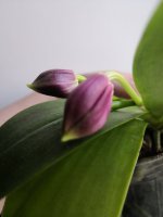IMG_20220525_200831.jpg