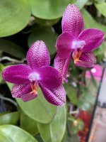 04173D0E-BC66-46CE-ACAF-F743344F0958.jpeg