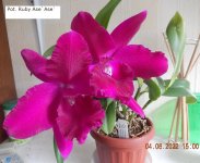 DSCN8507.JPG