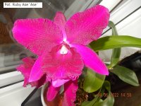 DSCN8505.JPG