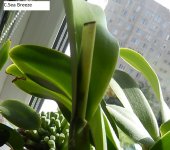 DSCN8502.JPG
