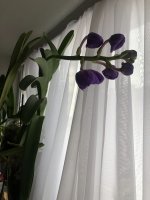 IMG_5783.jpg