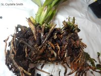 DSCN8508.JPG